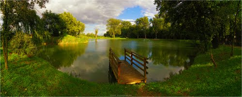 Planty Pleszew